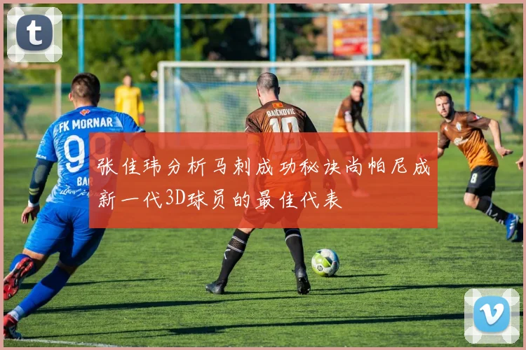 张佳玮分析马刺成功秘诀尚帕尼成新一代3D球员的最佳代表