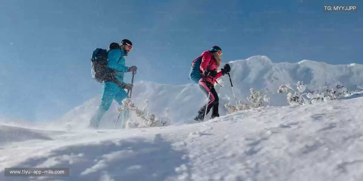 🏀 巅峰之战,不容错过!全球赛事同步直播,零时差感受速度与激情!